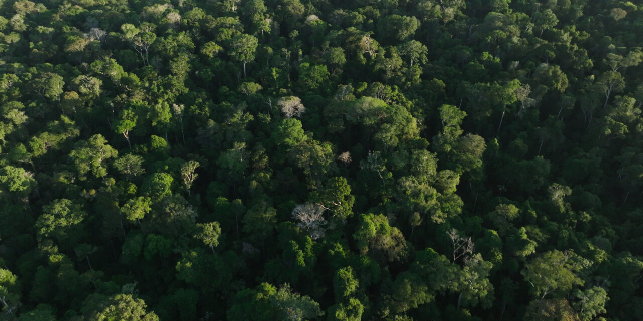 DOCUMENTÁRIO ‘NOVAS RAÍZES – ESCOLHAS DO FUTURO’ ESTREIA EM SETEMBRO NO DISCOVERY E HBO MAX