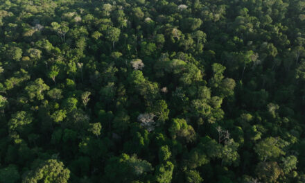 DOCUMENTÁRIO ‘NOVAS RAÍZES – ESCOLHAS DO FUTURO’ ESTREIA EM SETEMBRO NO DISCOVERY E HBO MAX